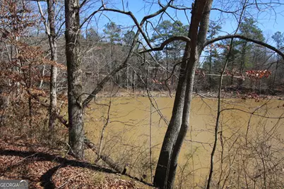 0 Stone Mtn Street, Tallapoosa, GA 30176 - Photo 13