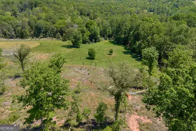 1745 Hannah Creek Church Road, Royston, GA 30662 - Photo 41