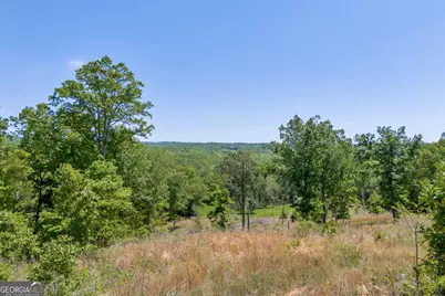 1745 Hannah Creek Church Road, Royston, GA 30662 - Photo 49