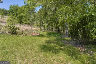 1745 Hannah Creek Church Road, Royston, GA 30662 - Photo 13