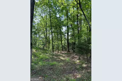 1745 Hannah Creek Church Road, Royston, GA 30662 - Photo 27