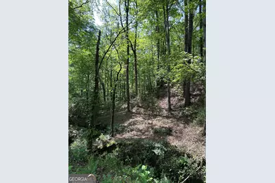 1745 Hannah Creek Church Road, Royston, GA 30662 - Photo 31