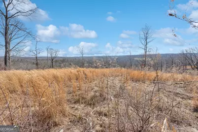 1745 Hannah Creek Church Road, Royston, GA 30662 - Photo 55