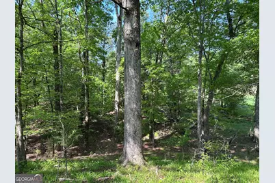 1745 Hannah Creek Church Road, Royston, GA 30662 - Photo 25