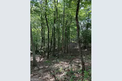 1745 Hannah Creek Church Road, Royston, GA 30662 - Photo 29