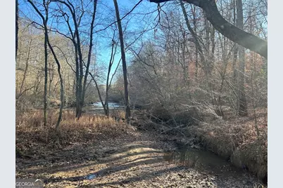 250 Riversong Road, Carrollton, GA 30117 - Photo 47