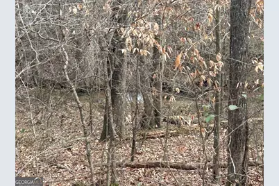 250 Riversong Road, Carrollton, GA 30117 - Photo 61