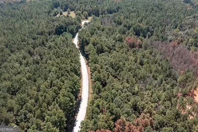 250 Riversong Road, Carrollton, GA 30117 - Photo 9