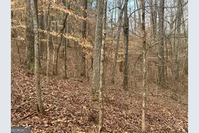 250 Riversong Road, Carrollton, GA 30117 - Photo 31