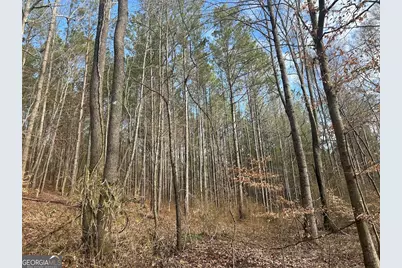 250 Riversong Road, Carrollton, GA 30117 - Photo 65