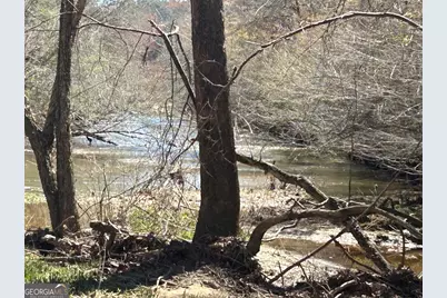 250 Riversong Road, Carrollton, GA 30117 - Photo 67