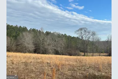 142 Riversong Road, Carrollton, GA 30117 - Photo 43