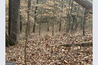 142 Riversong Road, Carrollton, GA 30117 - Photo 37