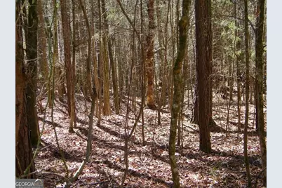Lot 7 Blackberry Bend, Elberton, GA 30635 - Photo 5