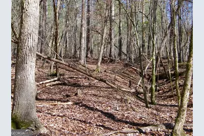 Lot 7 Blackberry Bend, Elberton, GA 30635 - Photo 7
