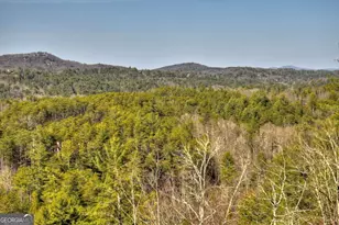 602 Laurel Creek Trail, Blue Ridge, GA 30513 - Photo 59