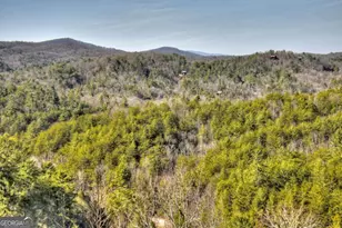 602 Laurel Creek Trail, Blue Ridge, GA 30513 - Photo 57