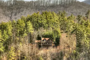 602 Laurel Creek Trail, Blue Ridge, GA 30513 - Photo 51