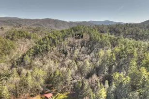 602 Laurel Creek Trail, Blue Ridge, GA 30513 - Photo 49