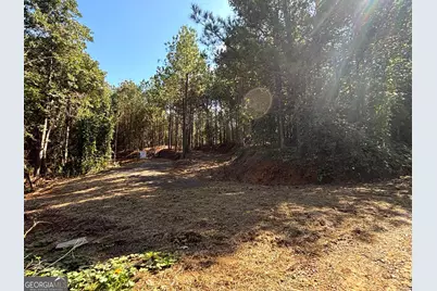 1 East Dry Pond Road LOT #1 EAST, Ranger, GA 30734 - Photo 3