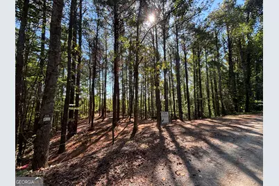 2 East Dry Pond Road LOT #2 EAST, Ranger, GA 30734 - Photo 19