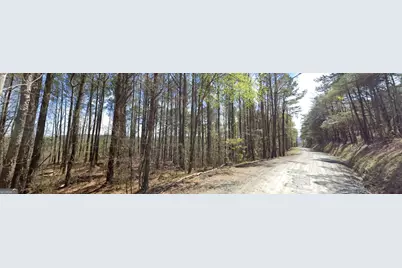 2 East Dry Pond Road LOT #2 EAST, Ranger, GA 30734 - Photo 11