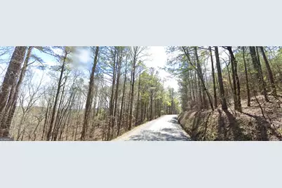 5 West Dry Pond Road LOT #5 WEST, Ranger, GA 30734 - Photo 5