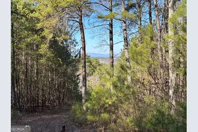 3 West Dry Pond Road, Ranger, GA 30734 - Photo 3