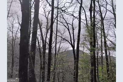 0 Lot #289 Cobblewood Trail, Sky Valley, GA 30537 - Photo 1