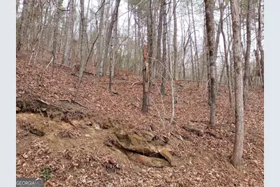0 Lot #289 Cobblewood Trail, Sky Valley, GA 30537 - Photo 5