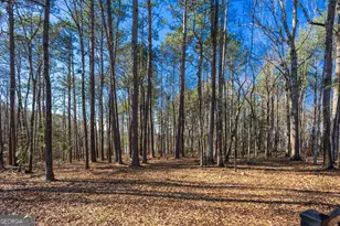 117 Woodchase Dr, Lagrange, GA 30240 - Photo 45