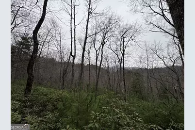 Lot 21 Whisper Ridge Court #21, Hiawassee, GA 30546 - Photo 9