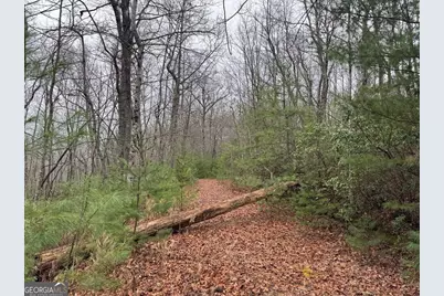 Lot 21 Whisper Ridge Court #21, Hiawassee, GA 30546 - Photo 29