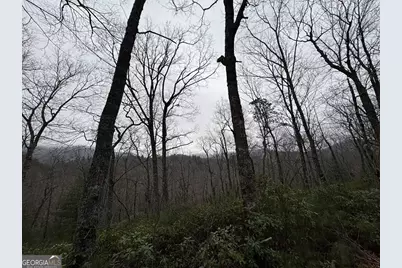 Lot 21 Whisper Ridge Court #21, Hiawassee, GA 30546 - Photo 23