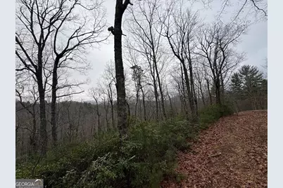 Lot 21 Whisper Ridge Court #21, Hiawassee, GA 30546 - Photo 5