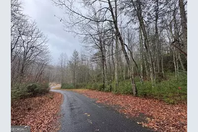 Lot 21 Whisper Ridge Court #21, Hiawassee, GA 30546 - Photo 31