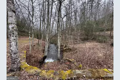 Lot 41 Whisper Woods Road #41, Hiawassee, GA 30546 - Photo 9