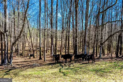 3913 Whitesville Road, Lagrange, GA 30240 - Photo 63