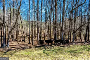 3913 Whitesville Rd, Lagrange, GA 30240 - Photo 63