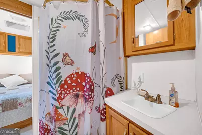 941 Mountain Shadows Drive, Cleveland, GA 30528 - Photo 21