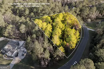 V/L 177 Sunrise Drive, Woodbine, GA 31569 - Photo 5