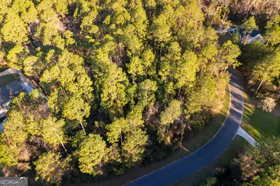 V/L 177 Sunrise Drive, Woodbine, GA 31569 - Photo 1