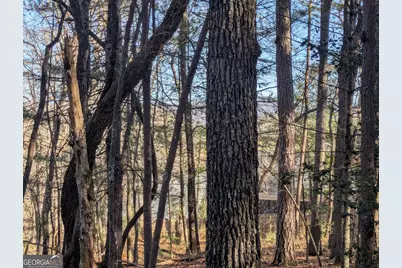 0 Ivylog Drive, Blairsville, GA 30512 - Photo 3