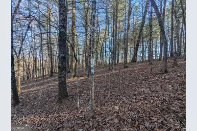 0 Ivylog Drive, Blairsville, GA 30512 - Photo 17