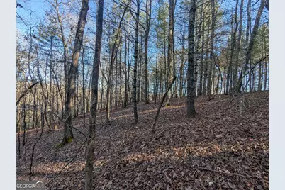 0 Ivylog Drive, Blairsville, GA 30512 - Photo 13