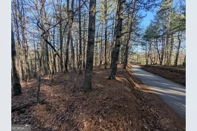 0 Ivylog Drive, Blairsville, GA 30512 - Photo 19