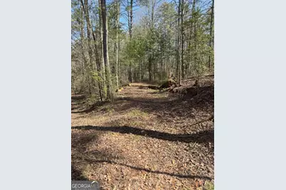 0 Bartox Drive, Ellijay, GA 30540 - Photo 31