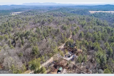 0 Bartox Drive, Ellijay, GA 30540 - Photo 11