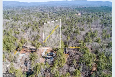 0 Bartox Drive, Ellijay, GA 30540 - Photo 17