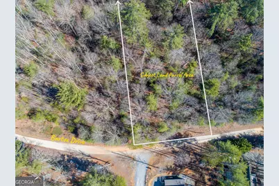 0 Bartox Drive, Ellijay, GA 30540 - Photo 9